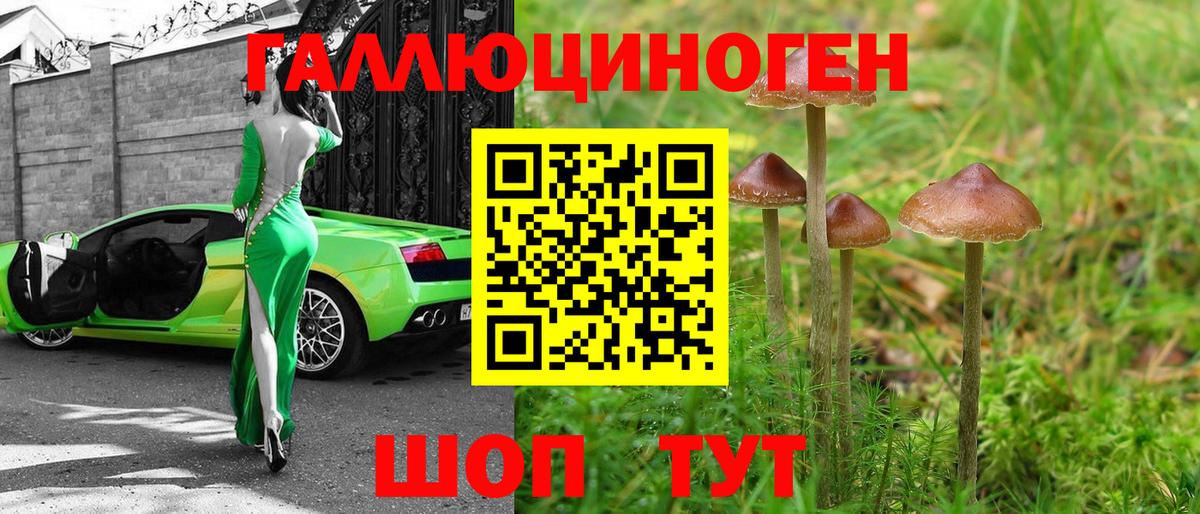 Новосибирск  Галлюциногенные грибы Magic Shrooms  Галлюциногенные грибы прущие грибы  Вход с VPN 