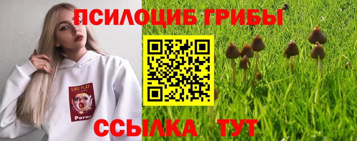 МЕФ Новосибирск