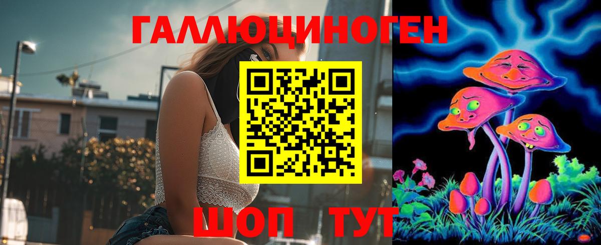 Галлюциногенные грибы Psilocybine cubensis Новосибирск